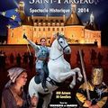 SPECTACLE AU CHÂTEAU SAINT- FARGEAU 