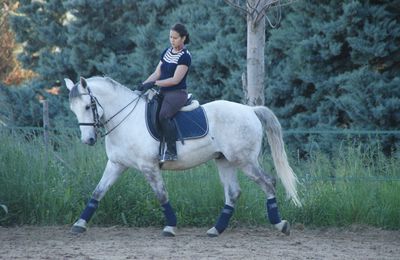 Le pas, ciment du dressage, et de la qualité du protocole !