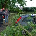 ORAGE SUR HIRSON : HIER, UN ARBRE S'ABAT SUR UNE VOITURE.