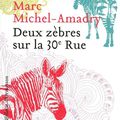 Deux zèbres sur la 30e Rue - Marc Michel-Amadry