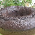 Gâteau chocolat noisettes