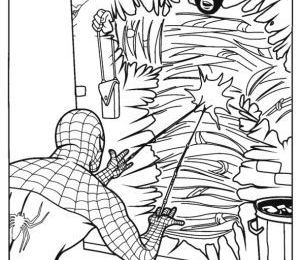 Coloriage Spiderman