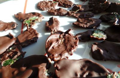 Feuilles de Menthe Cristallisées au Chocolat