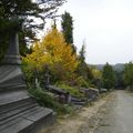 PROMENADE DANS UN CIMETIERE BRUXELLOIS - UCCLE - 2