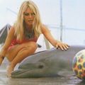 BB et les animaux
