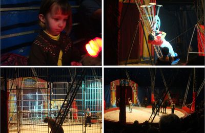 Le cirque de Noel de Montauban