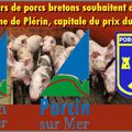 VOYAGE EN COCHONNERIES