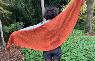 Tricot: Dustland Shawl by Stephen West
