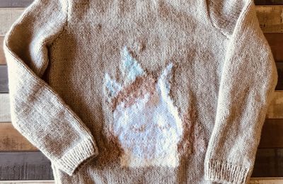 Tricot - Pull Licorne pour Éléa 