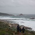 cape naturaliste