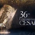 Revenons sur les César 2011