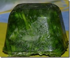 Congelation des herbes fraîches