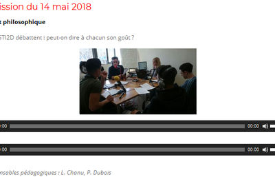 Webradio RJM : Les TSTI2D débattent : peut-on dire à chacun son goût ?