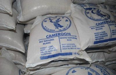  Le riz camerounais tient sa chance 
