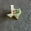 Bi893 : Pin's Texas