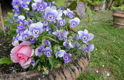 Le bouquet du vendredi