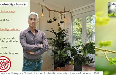 👨‍🌾 Etude personnalisée: Les plantes dépolluantes. Paysagiste Pays Basque Paysagiste Landes.