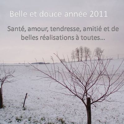 Bonne année 2011