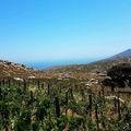 Escapade dans les Iles grecques : Tinos, Samos, Icaria, Patmos...