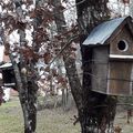 De nouveaux habitants à l'éco hameau ! 