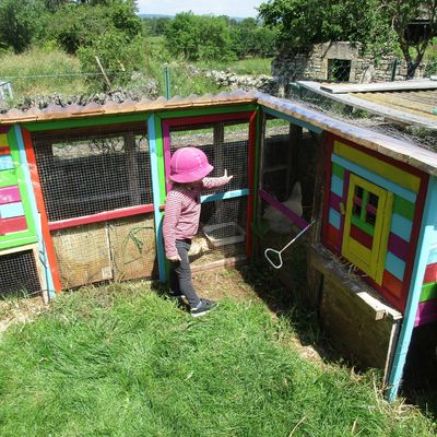 ReReReRe-Nouvelles poules.....qui ne pondent pas!