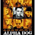 Critique : Alpha Dog