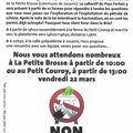 Manifestation à "La Petite Brosse" 22 mars 2013