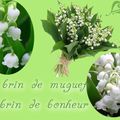 Pour vous, quelques brins de muguet en ce 1er mai...