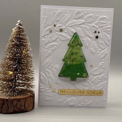 🎄 Magie de Noël : Mes Sapins Dômes en version "Shaker Liquide" 🎄