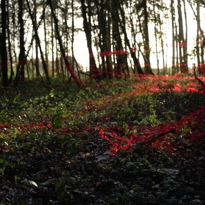 [CRITIQUE]  Forêt Rouge de Laurie Lassalle: aux arbres citoyens !