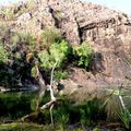 12 novembre 2013 : Kakadu National Park - Goulam Falks (suite)