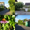 des photos de ma visite à Giverny