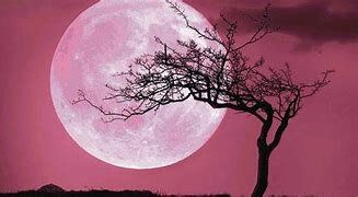 La Pleine Lune ROSE du 27 avril 2021