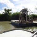 Floride, cinquième étape, Les Everglades