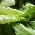 Ma quiche verte aux deux salades, façon lorraine ou végétarienne