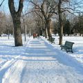 Activités à -15 degré C, Montréal, Parc Lafontaine