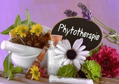 phytothérapie