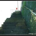 Escalier sur le Port du Havre