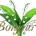 Muguet de mai