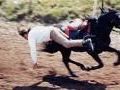 Chute de cheval !!!