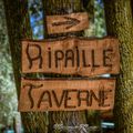 Faire ripaille à la taverne ou popina