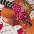 [Dessin] violon à la rose