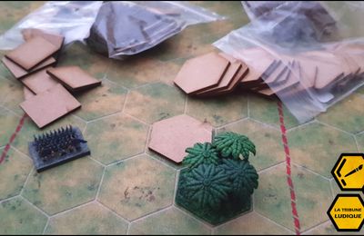 Valoris et Aventures de Poche - Des socles et des hexagones