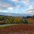 Paysage d'automne en Bourgogne.