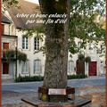 L'arbre et le banc à Ornan