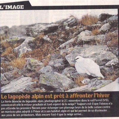 "Terre et Nature" du 1er décembre 2011