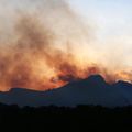 Incendies en Corse