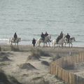 Le week end du 28 au 30 septembre en Camargue