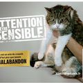 Humainement réagissons dites #NONALABANDON, votre voix a toute son importance pour les animaux de compagnie