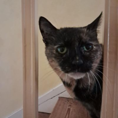 [GRIF' Abrite] Ma thyroïde me joue des tours... Kamala